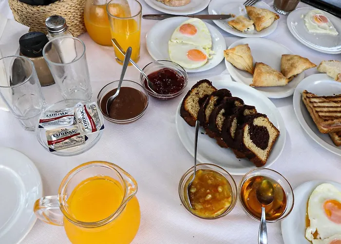 米卡别墅酒店 纳乌萨